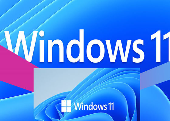 WDDM 2.X Microsoft Windows 11 Professional 4GB RAM 100% Activate Online UEFI