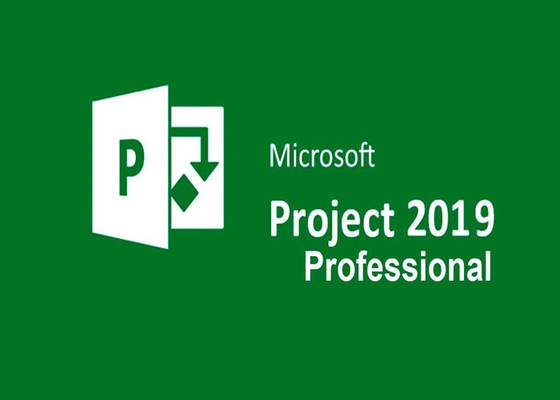 Microsoft Project Professional 2019 Retail Box Package 64 Bit 1 PC Lifetime