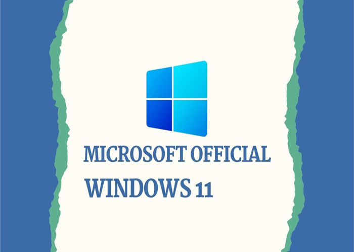 نسخه فرانسوی TPM Microsoft Windows 11 Home Retail Full Box WIP UEFI